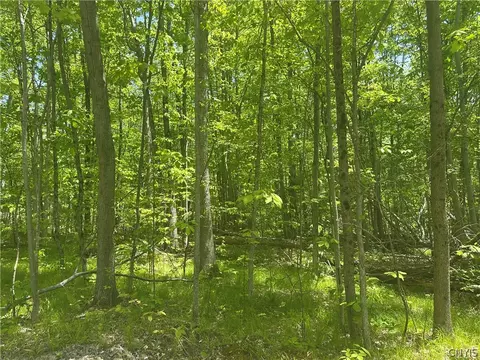 River Road, Amity, NY 14813 photo 16