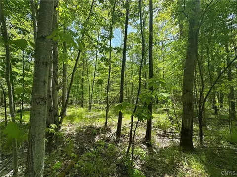 River Road, Amity, NY 14813 photo 14