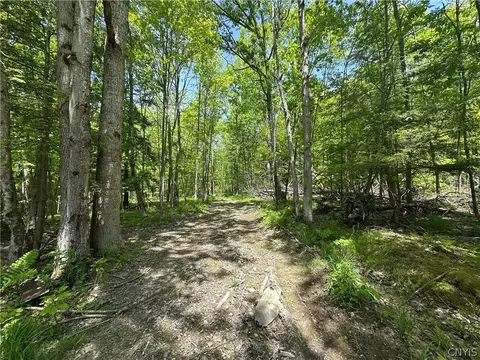 River Road, Amity, NY 14813 photo 13