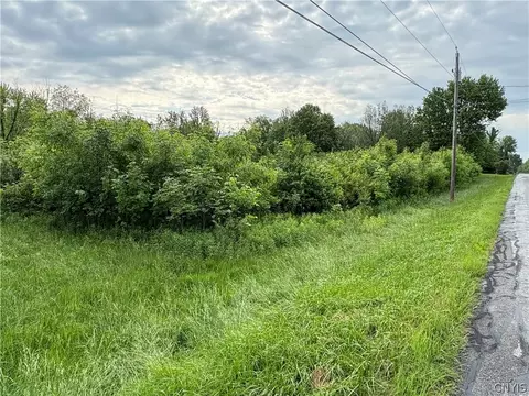 0 Eddy Rd, Sullivan, NY 13032 photo 2