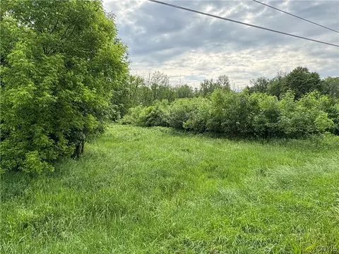 0 Eddy Rd, Sullivan, NY 13032 photo 3