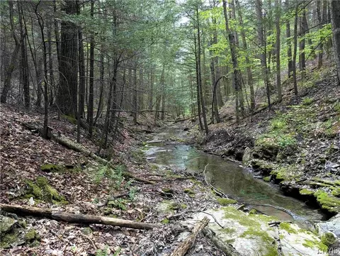 Stewart Road, Tuscarora, NY 14801