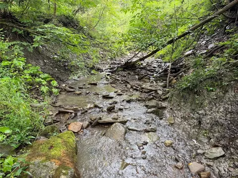 Creek Road, Sardinia, NY 14134