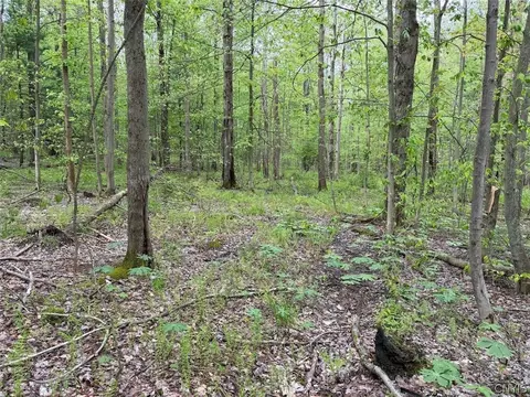 Kellogg Hill Road, Leon, NY 14138 photo 8