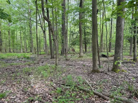 Kellogg Hill Road, Leon, NY 14138 photo 7