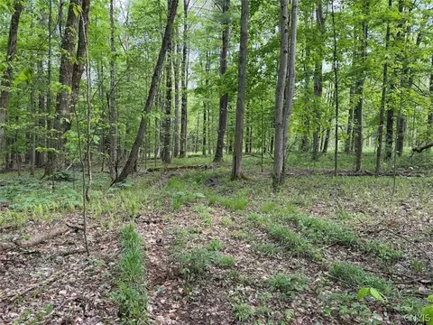 Kellogg Hill Road, Leon, NY 14138 photo 3