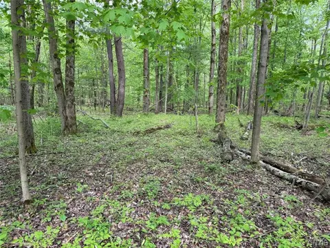 Kellogg Hill Road, Leon, NY 14138 photo 6