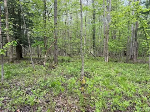 Kellogg Hill Road, Leon, NY 14138 photo 9
