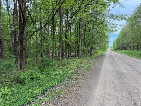 Kellogg Hill Road, Leon, NY 14138 photo 5