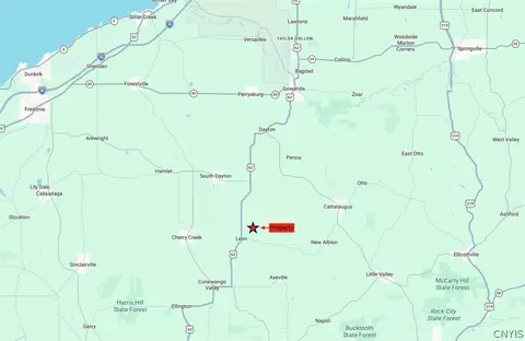 Kellogg Hill Road, Leon, NY 14138 photo 17