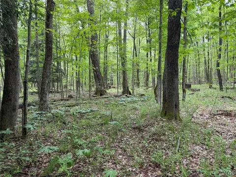 Kellogg Hill Road, Leon, NY 14138 photo 12