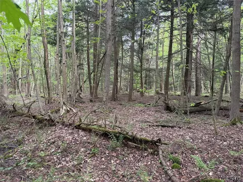 Kellogg Hill Road, Leon, NY 14138 photo 3