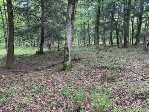 Kellogg Hill Road, Leon, NY 14138 photo 6