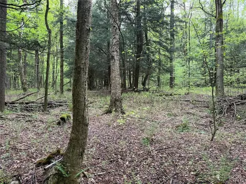 Kellogg Hill Road, Leon, NY 14138 photo 5