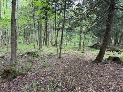 Kellogg Hill Road, Leon, NY 14138 photo 4