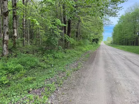 Kellogg Hill Road, Leon, NY 14138 photo 15