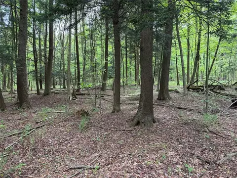 Kellogg Hill Road, Leon, NY 14138 photo 7