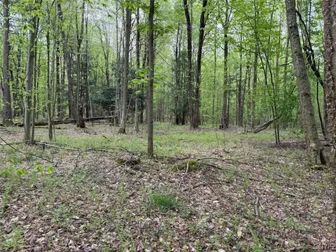 Kellogg Hill Road, Leon, NY 14138 photo 14