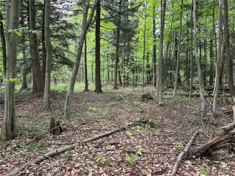 Kellogg Hill Road, Leon, NY 14138 photo 11