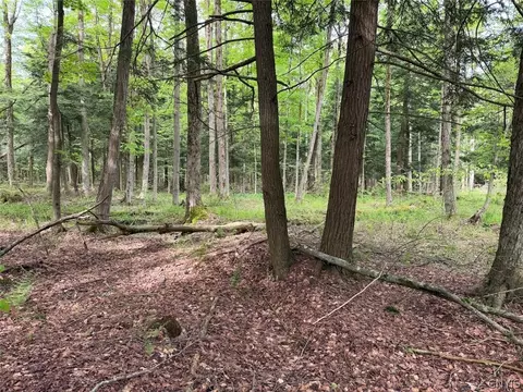 Kellogg Hill Road, Leon, NY 14138 photo 8