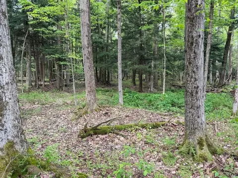 Kellogg Hill Road, Leon, NY 14138 photo 9