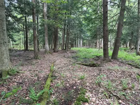 Kellogg Hill Road, Leon, NY 14138 photo 10