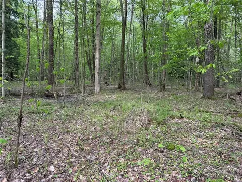 Kellogg Hill Road, Leon, NY 14138