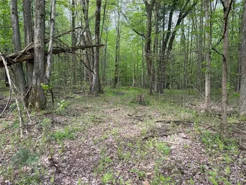 Kellogg Hill Road, Leon, NY 14138 photo 7