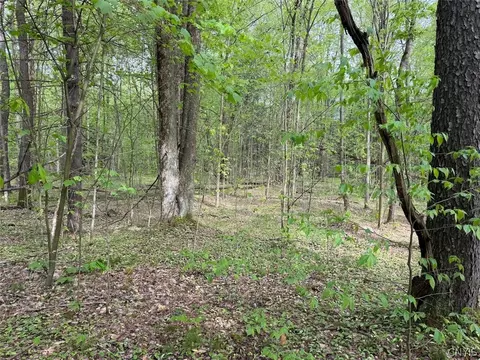 Kellogg Hill Road, Leon, NY 14138 photo 3