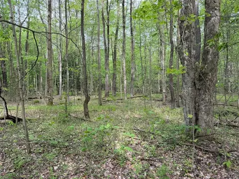 Kellogg Hill Road, Leon, NY 14138 photo 4
