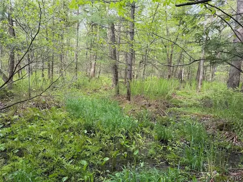 Kellogg Hill Road, Leon, NY 14138 photo 13