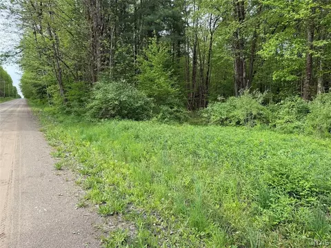 Kellogg Hill Road, Leon, NY 14138 photo 5
