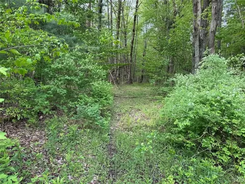 Kellogg Hill Road, Leon, NY 14138 photo 6