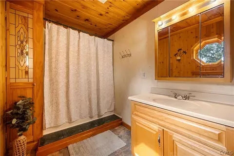 Bath - 223 Elm St, Oneida, NY 13421 photo 2 of 3