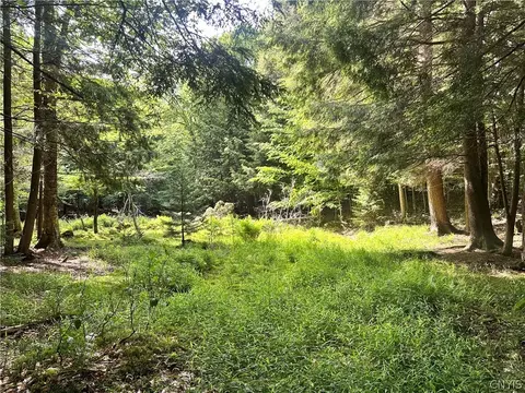 41 S Shore Rd, Inlet, NY 13360