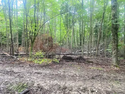 Other - Rt-275, Wirt, NY 14739 photo 13 of 15