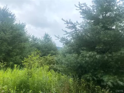 Other - Rt-275, Wirt, NY 14739 photo 8 of 15