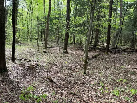 Kellogg Hill Road, Leon, NY 14138 photo 9