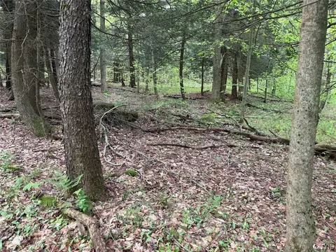 Kellogg Hill Road, Leon, NY 14138 photo 8