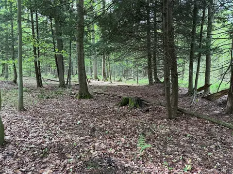 Kellogg Hill Road, Leon, NY 14138 photo 7