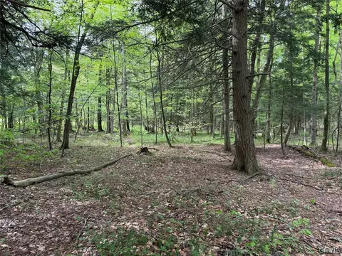 Kellogg Hill Road, Leon, NY 14138 photo 10