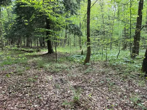 Kellogg Hill Road, Leon, NY 14138 photo 6