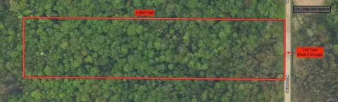 Kellogg Hill Road, Leon, NY 14138 photo 2