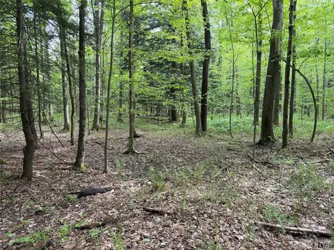 Kellogg Hill Road, Leon, NY 14138 photo 5