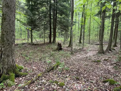 Kellogg Hill Road, Leon, NY 14138 photo 3