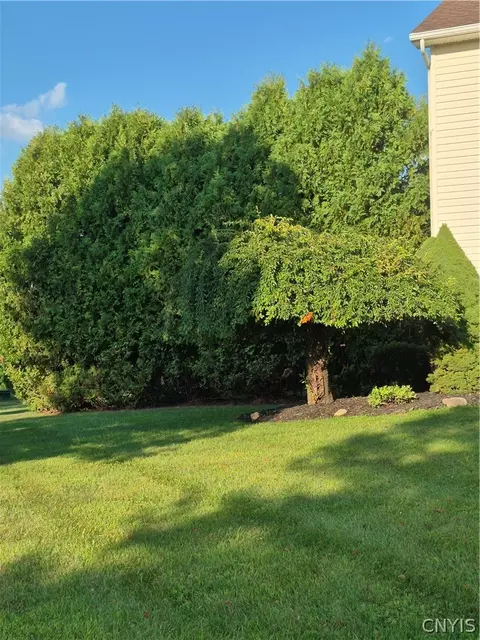 Other - 110 Cedarcrest Ln, Oneida, NY 13421 photo 1 of 8