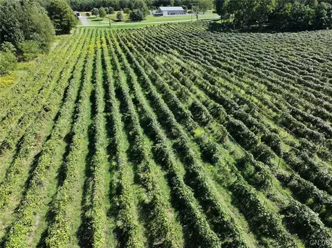 Bennett State Road, Hanover, NY 14062 photo 7