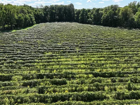 Bennett State Road, Hanover, NY 14062 photo 12