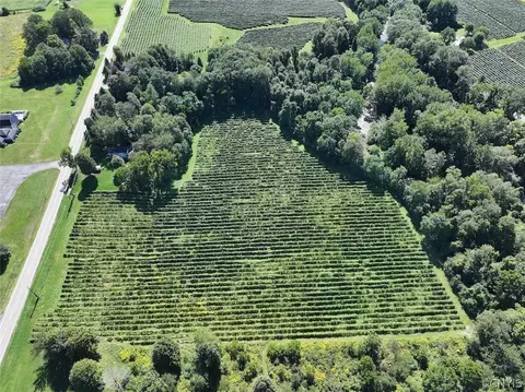 Bennett State Road, Hanover, NY 14062 photo 4
