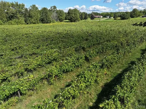 Bennett State Road, Hanover, NY 14062 photo 8